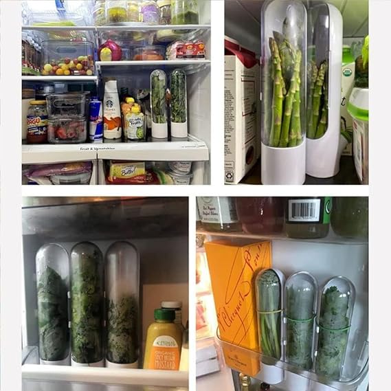 Herb Storage Container with Water Reservoir and Clear Cover for Refrigerator Fresh Herb Keeper