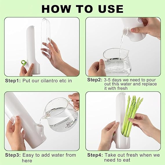 Herb Storage Container with Water Reservoir and Clear Cover for Refrigerator Fresh Herb Keeper