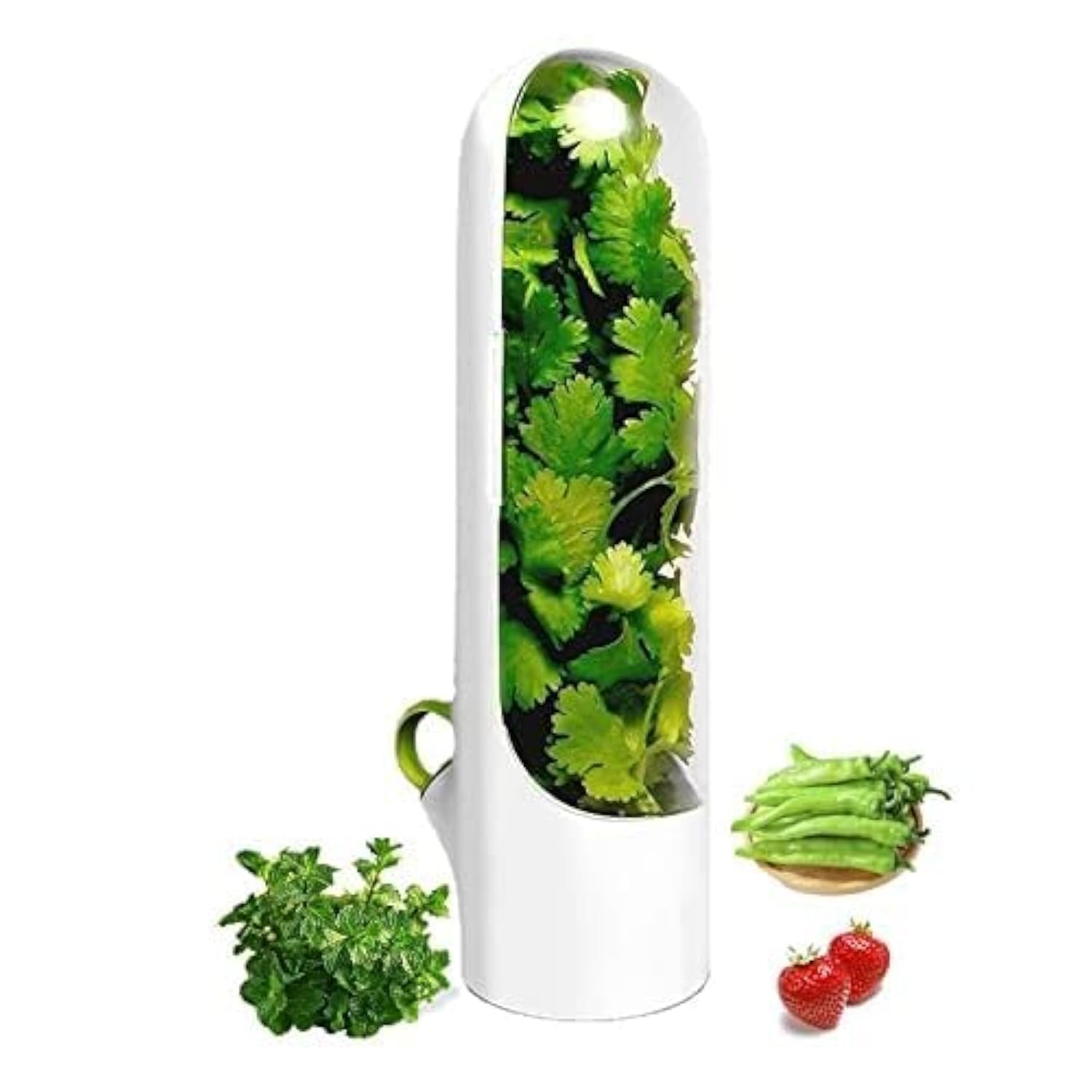 Herb Storage Container with Water Reservoir and Clear Cover for Refrigerator Fresh Herb Keeper
