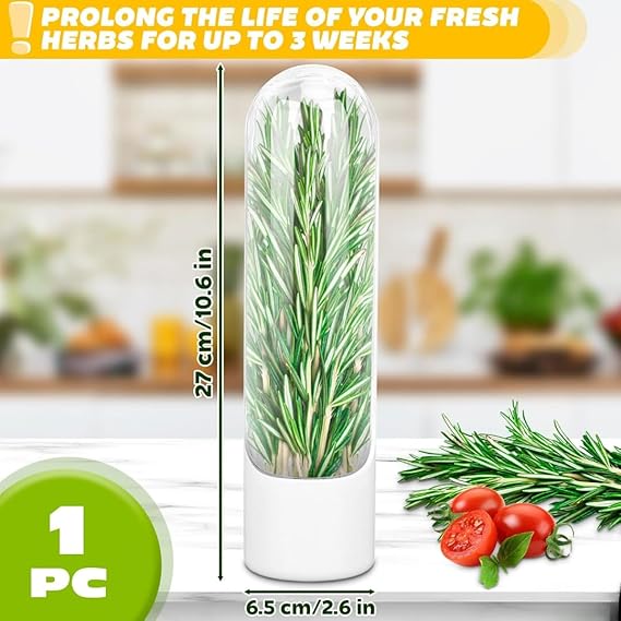 Buy Herb Storage Container with Water Reservoir and Clear Cover for Refrigerator Fresh Herb Keeper Online at Dmark